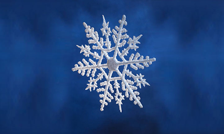 Are All Snowflakes Unique?