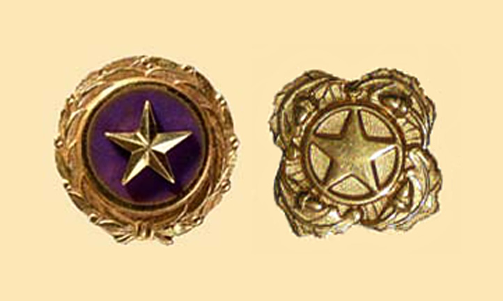 Gold Star Pins