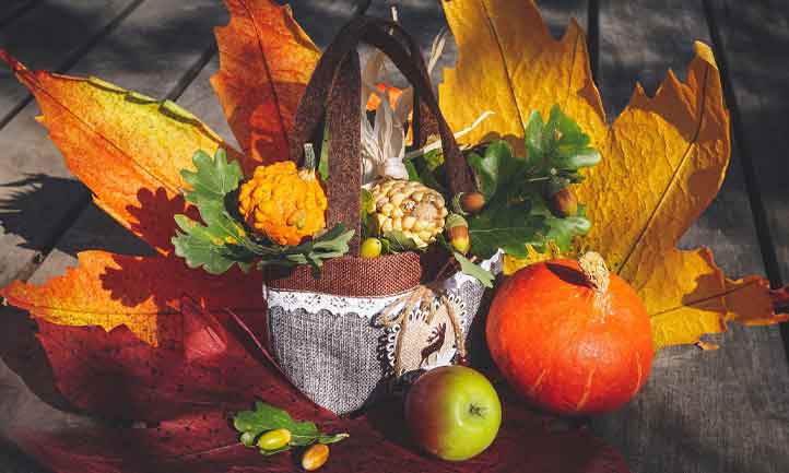 Autumn decor